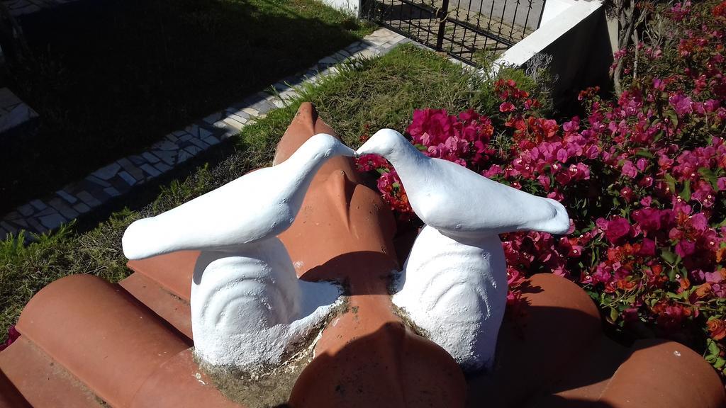 Roulito'S Guest House Алтура Екстериор снимка